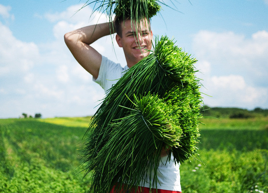 Food in harmony with nature