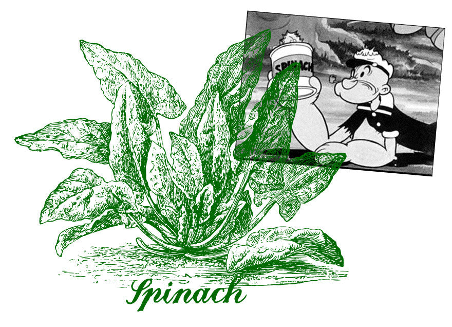 Amazing vegetables #1 Spinach